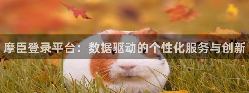 狗子28注册登录链接入口