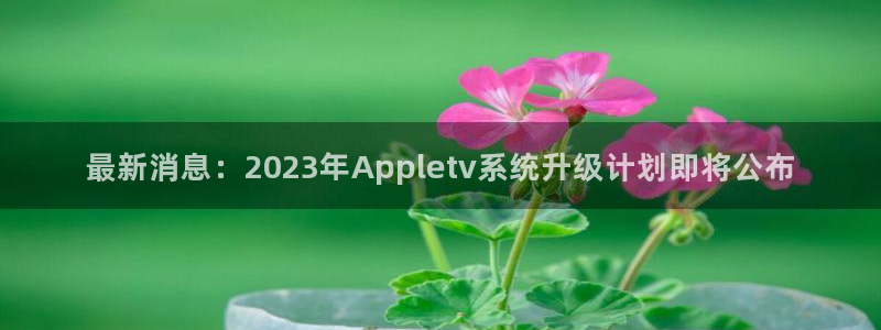 狗子28棋牌软件特色