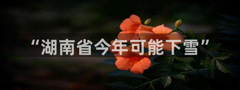 狗子28账号注册登录入口