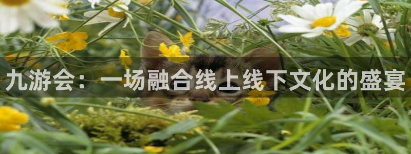 狗子28平台链接