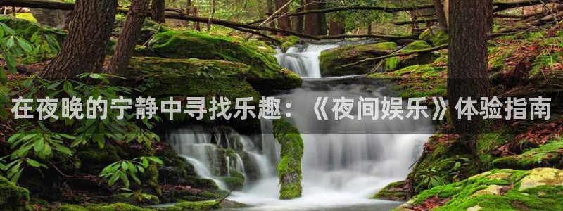 狗子28游戏账号注册