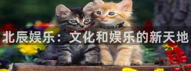 狗子28游戏