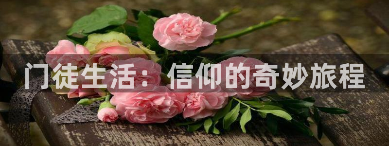 狗子28pg