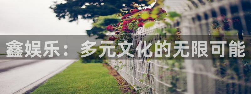 狗子28扶持金