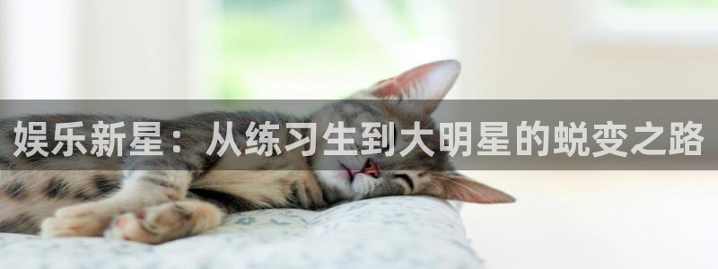 狗子28