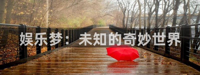 狗子28国际版下载入口