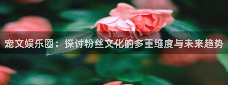 狗子28完整版