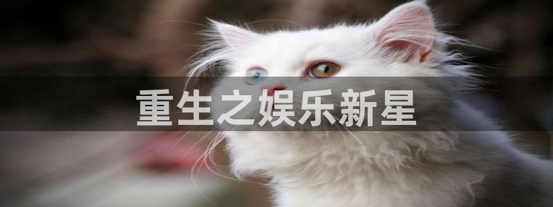 狗子28模拟器