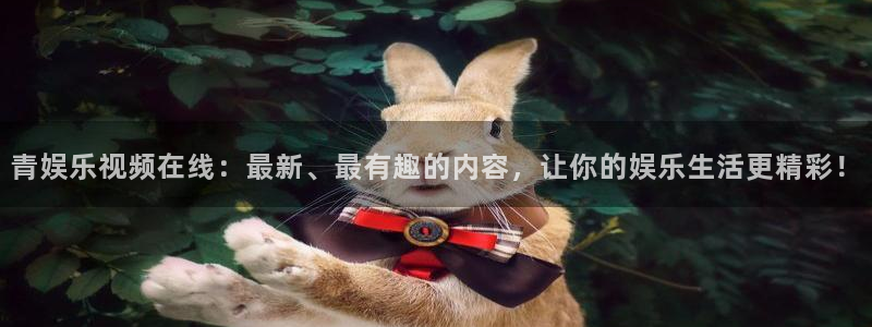 狗子28老款