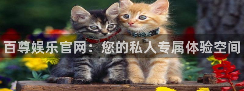 狗子28平台链接