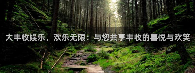 狗子28平台