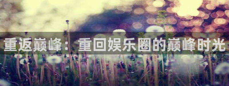 狗子28官网：重返巅峰：重回娱乐圈的巅峰时光