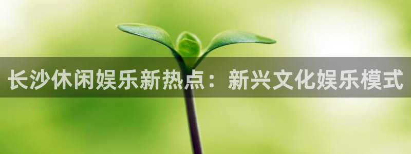 狗子28手机版：长沙休闲娱乐新热点：新兴文化娱乐模式