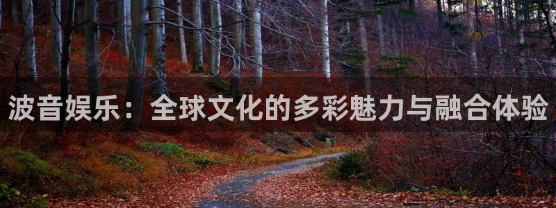狗子28pg正版官网入口：波音娱乐：全球文化的多彩魅力与融合体验