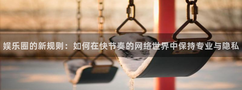狗子28棋牌软件特色：娱乐圈的新规则：如何在快节奏的网络世界中保持专业与隐私