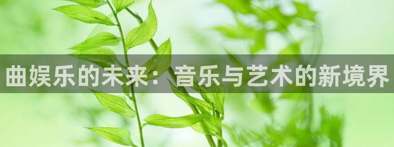 狗子28游戏登录入口：曲娱乐的未来：音乐与艺术的新境界