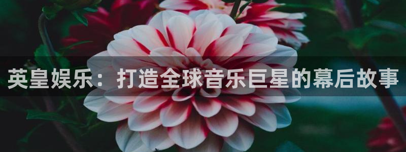 狗子28老款：英皇娱乐：打造全球音乐巨星的幕后故事