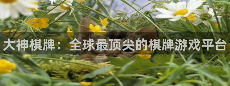 狗子28棋牌软件特色：大神棋牌：全球最顶尖的棋牌游戏平台