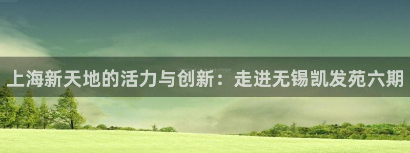 狗子28pg电子游戏：上海新天地的活力与创新：走进无锡凯发苑六期