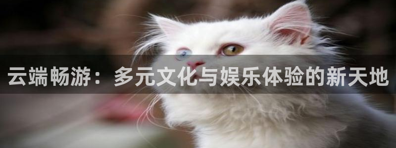狗子28游戏登录入口：云端畅游：多元文化与娱乐体验的新天地