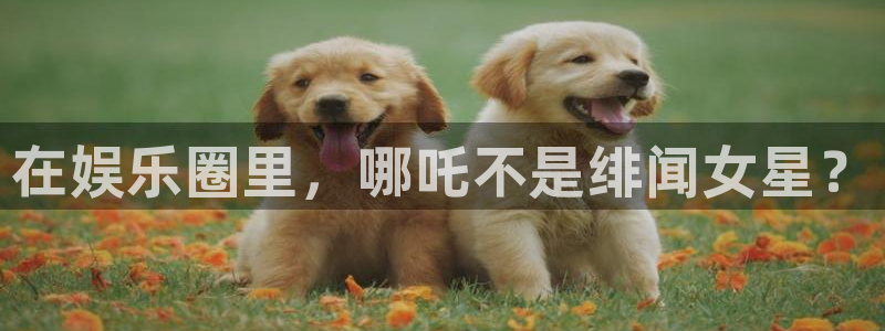 狗子28免费注册账号：在娱乐圈里，哪吒不是绯闻女星？
