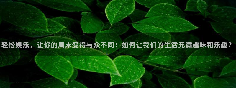 狗子28.ccm官网版：轻松娱乐，让你的周末变得与众不同：如何让我们的生活充满趣味和乐趣？