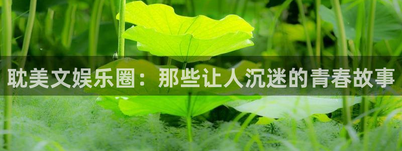 狗子28下载：耽美文娱乐圈：那些让人沉迷的青春故事
