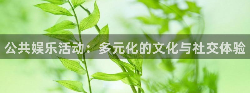 狗子28创意平台：公共娱乐活动：多元化的文化与社交体验