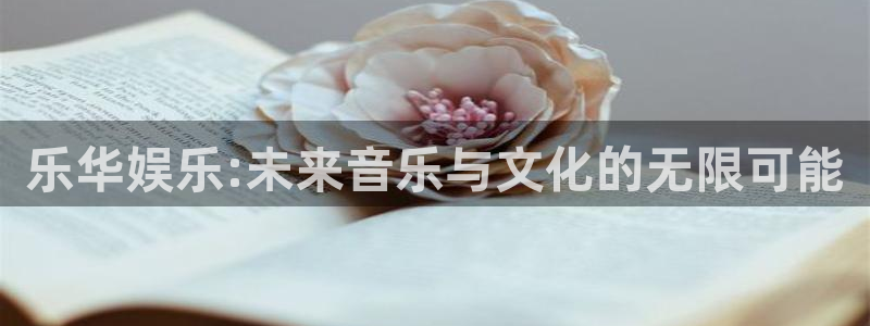 狗子28模拟器下载安装：乐华娱乐:未来音乐与文化的无限可能