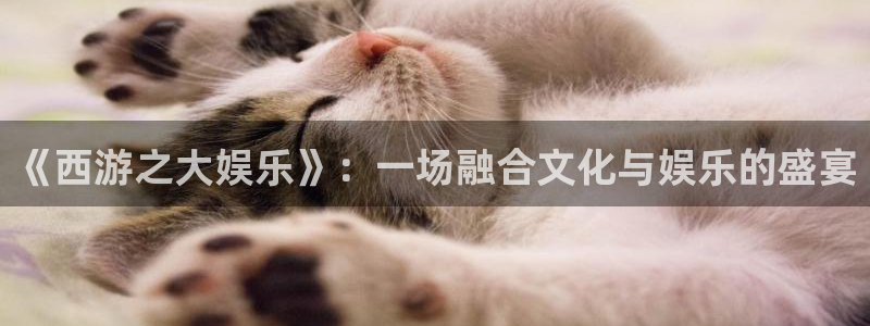 狗子28免费注册入口：《西游之大娱乐》：一场融合文化与娱乐的盛宴