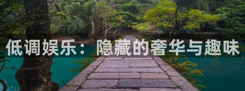 狗子28app：低调娱乐：隐藏的奢华与趣味