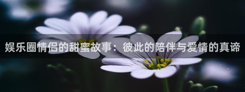 狗子28账号注册登录入口：娱乐圈情侣的甜蜜故事：彼此的陪伴与爱情的真谛