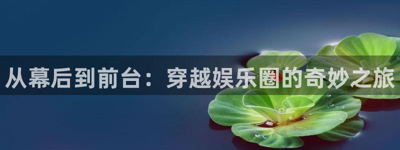 狗子28pg官网下载：从幕后到前台：穿越娱乐圈的奇妙之旅