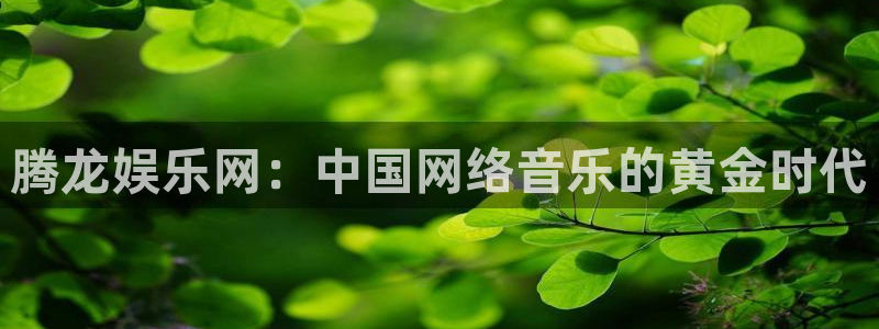 狗子28pg正版官网入口：腾龙娱乐网：中国网络音乐的黄金时代